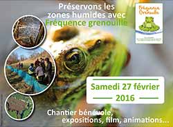 Affiche de fréquence grenouille (nouvelle fenêtre)