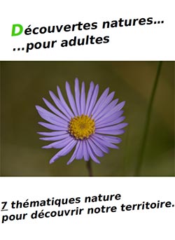 Découvertes natures... pour adultes